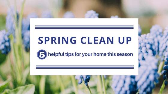 Ad for 5 helpful tips for home cleaning in the spring