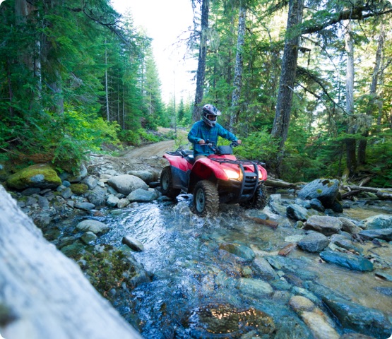 ATV or quad adventure in the forest