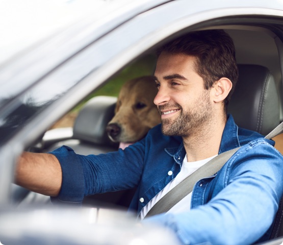 Person drives car as dog sits in the backseat