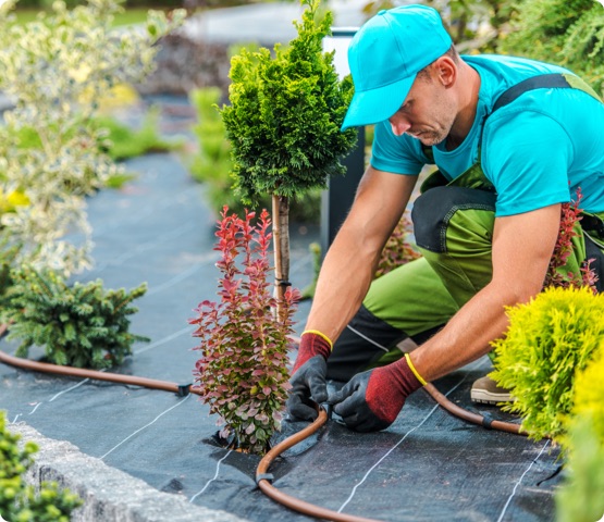 Landscaping Insurance Ontario Free, What Kind Of Insurance Do I Need For A Landscaping Business