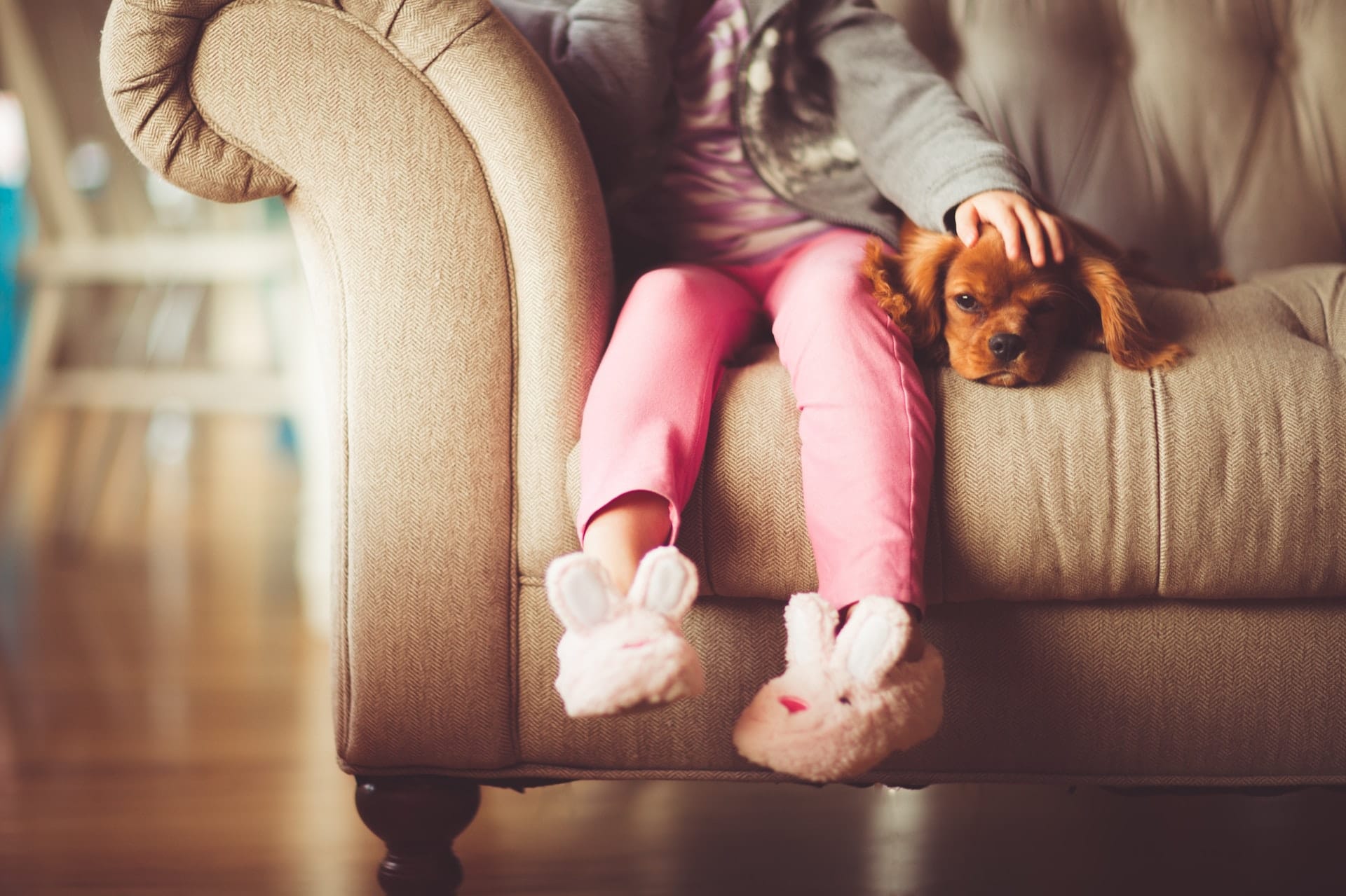 dog lying on the couch with young girl