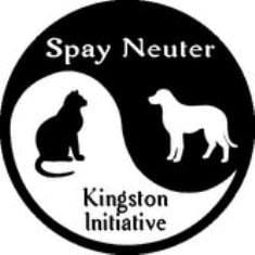 spay neuter kingston initiative